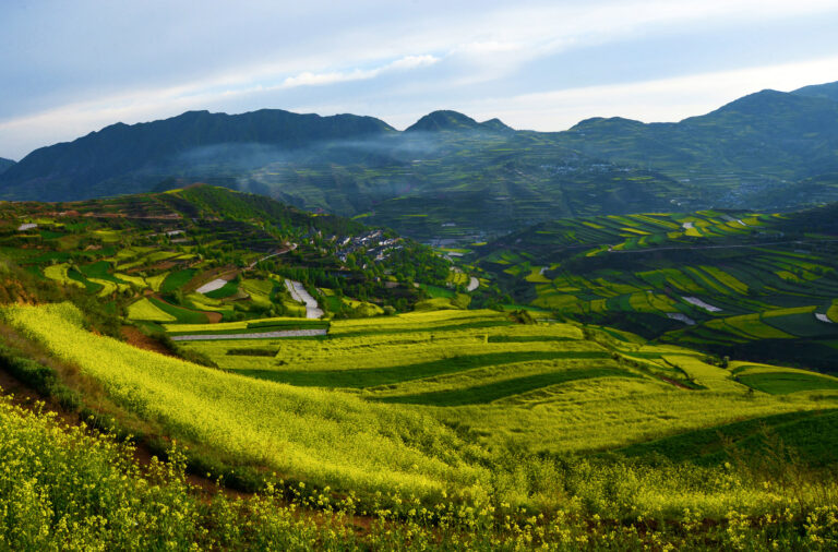 Zhu Quantang - Landscape-of-Maiji-Mount-1